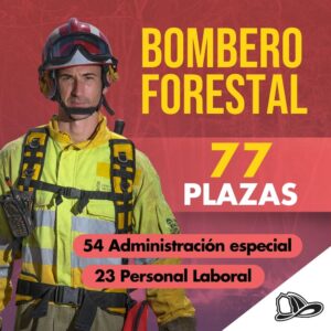 Inicio 73 Bombero Forestal