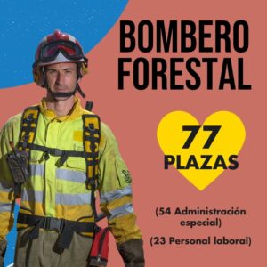 Inicio 73 Bombero Forestal